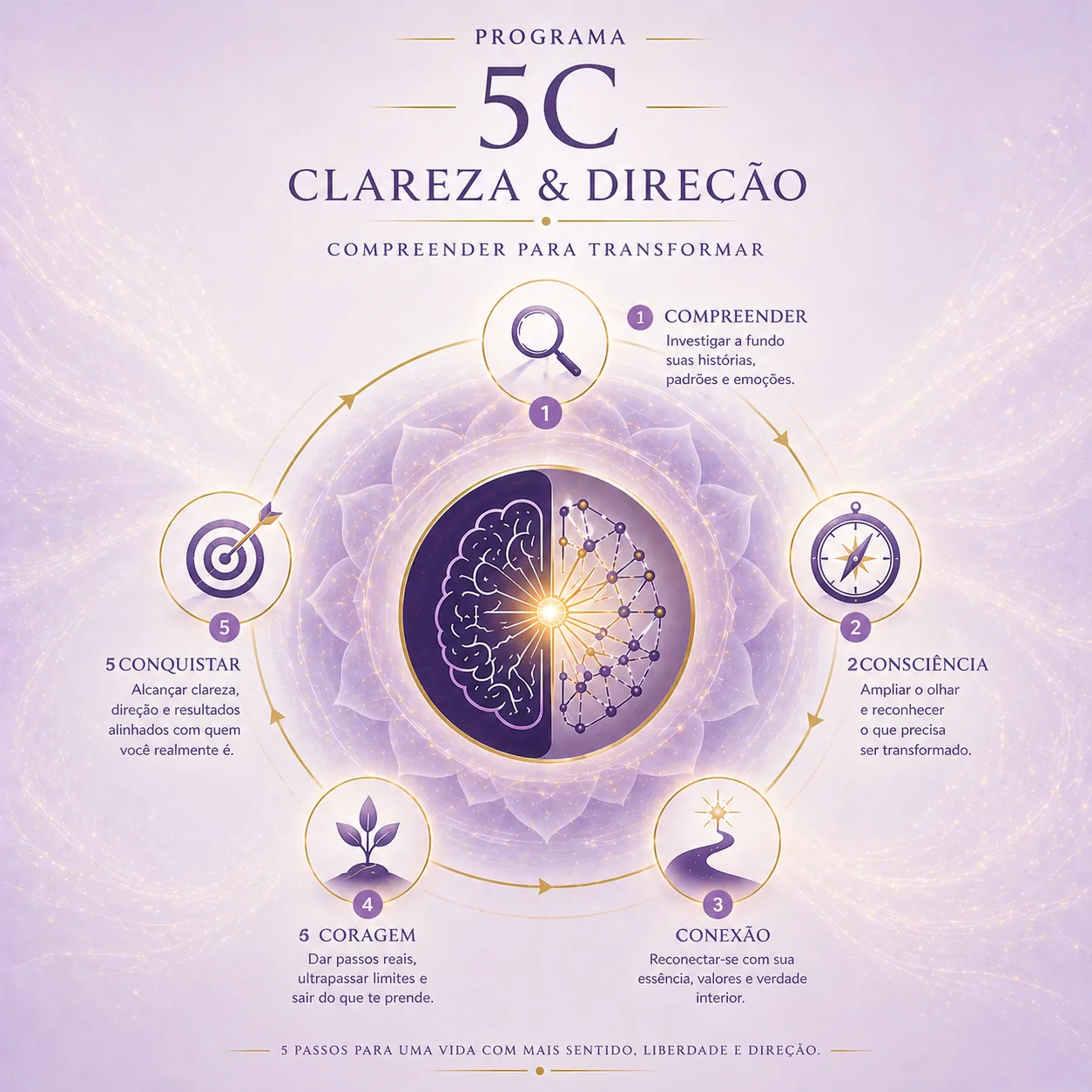 Infográfico do Programa 5C: Clareza & Direção